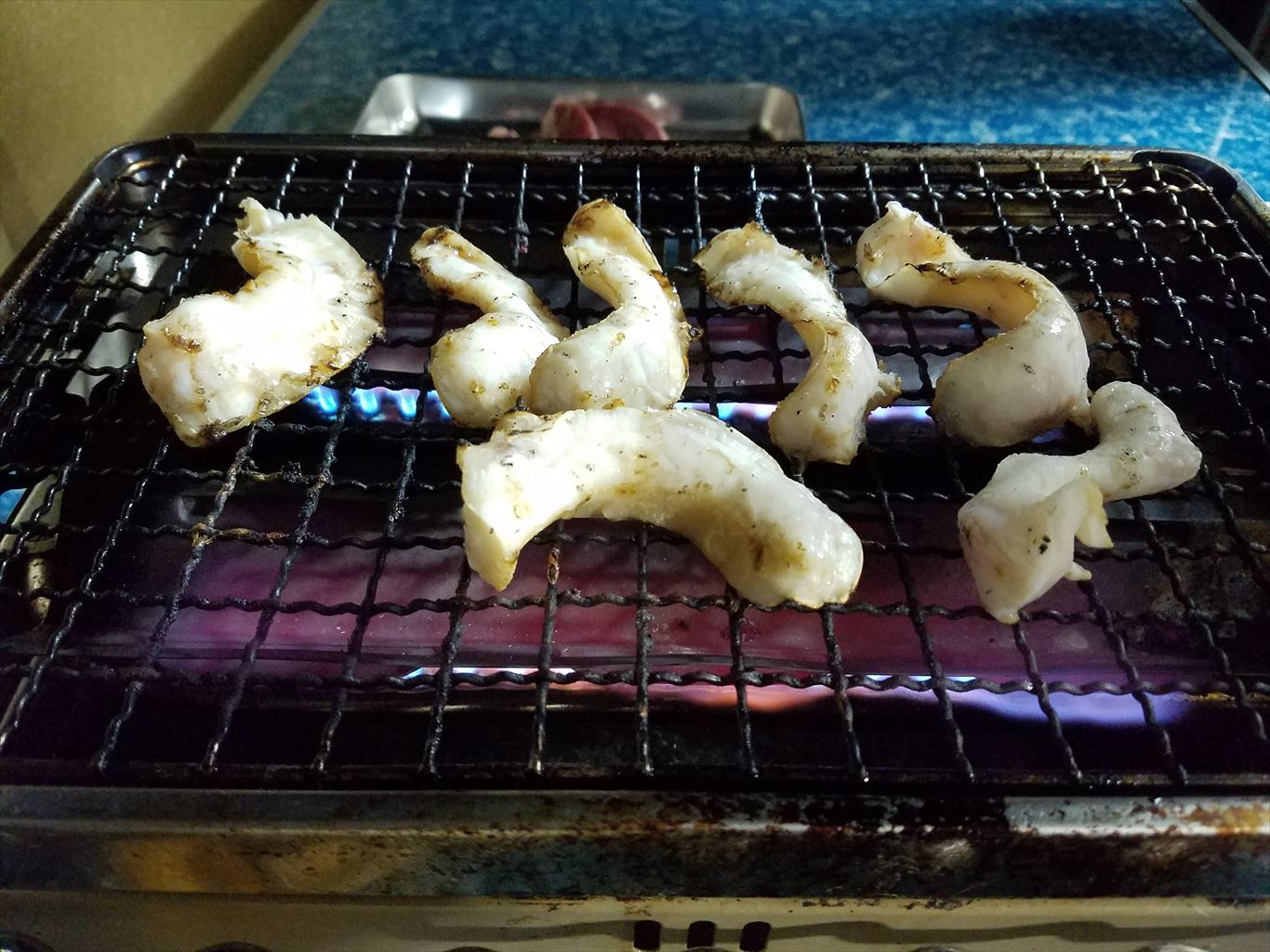 マンボウ 食べたことありますか 木更津 君津 袖ケ浦の情報をお伝えするブログ なかぶぷろじぇくと