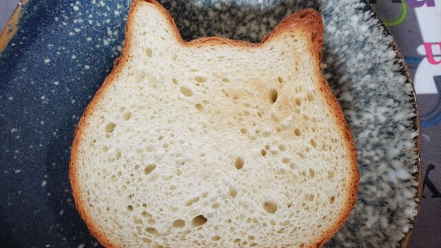 猫好き必見 かわいい猫の形の食パン売ってます ねこねこ食パン アリオ市原店 木更津 君津 袖ケ浦の情報をお伝えするブログ なかぶぷろじぇくと